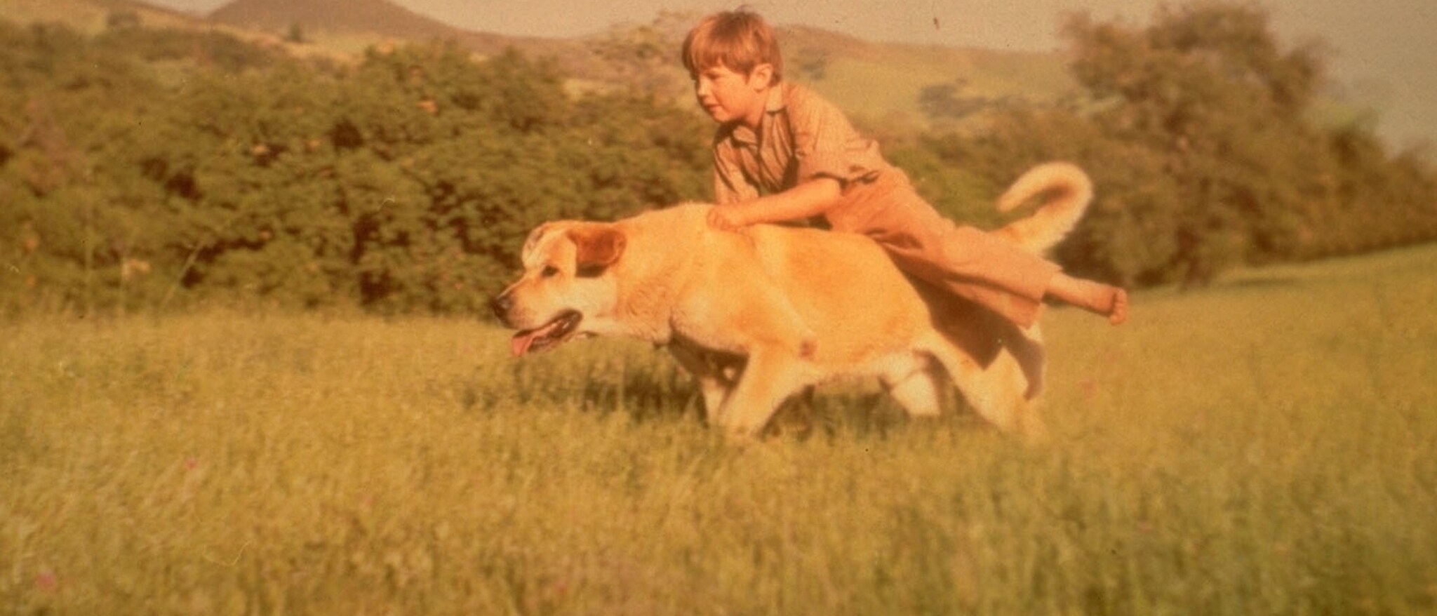 Official Disney film image of a child riding beside Old Yeller in a meadow
